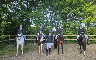 Pony 4tal bij HV de Cannenburgh 