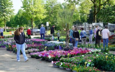 Bloemen en plantenmarkt Vaassen