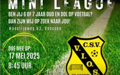 Ben jij 6 of 7 jaar oud en dol op voetbal? Dan is VIOS Vaassen op zoek naar jou!