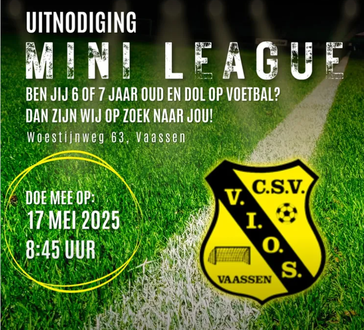 Ben jij 6 of 7 jaar oud en dol op voetbal? Dan is VIOS Vaassen op zoek naar jou!