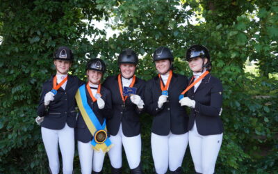 Pony viertal van HV de Cannenburgh Gelders Kampioen