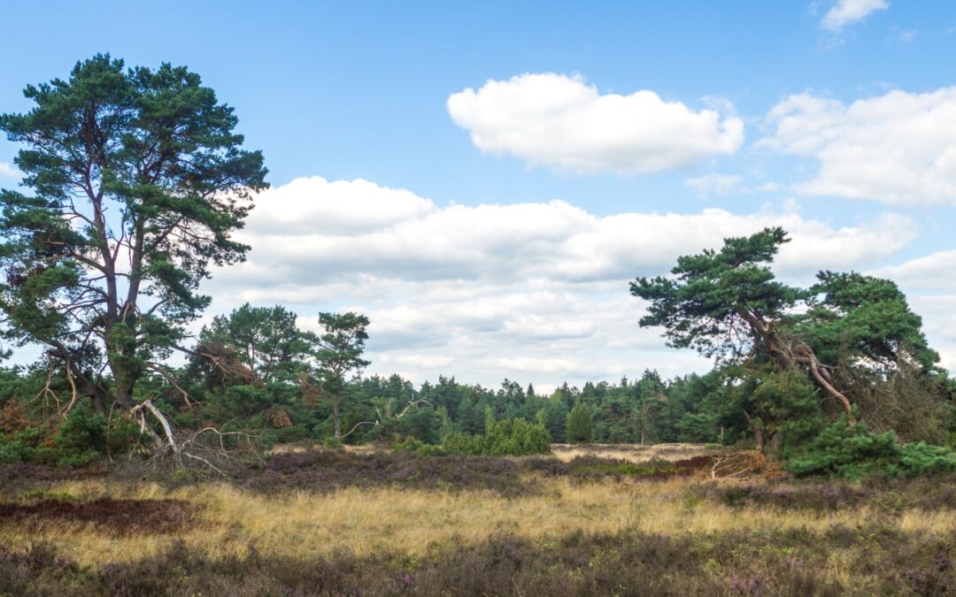 Activiteiten van Ampt Epe tijdens de Nationale Archeologiedagen