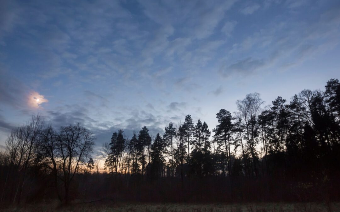 Gemeente Epe start proef met minder licht in Natura 2000-gebied