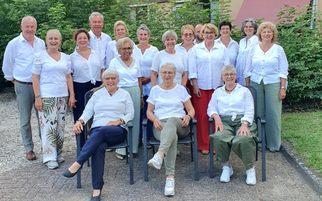 ZingchroNice: Onze mannen zoeken versterking!