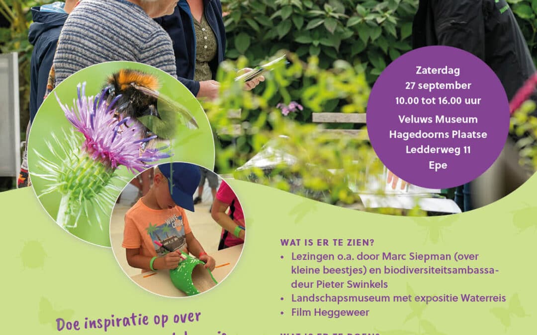 Landschapsmarkt in Epe voor jong en oud