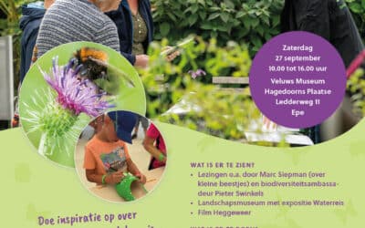 Landschapsmarkt in Epe voor jong en oud