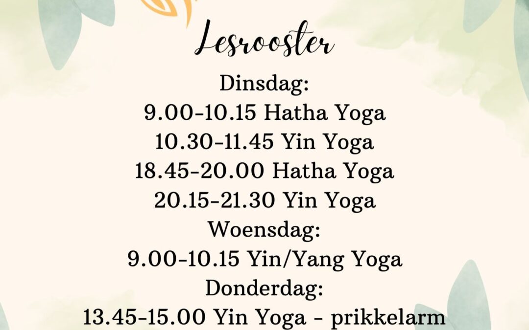 Nieuwe Yin/Yang les bij Irin Yoga in Vaassen
