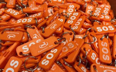 Gemeente Epe deelt oranje fluitjes uit in strijd tegen geweld