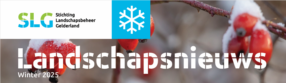 Schermafbeelding 2025-12-16 123734