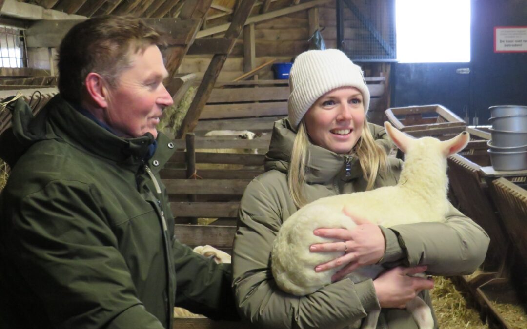Eerste lammetje geadopteerd door Elisa Dul