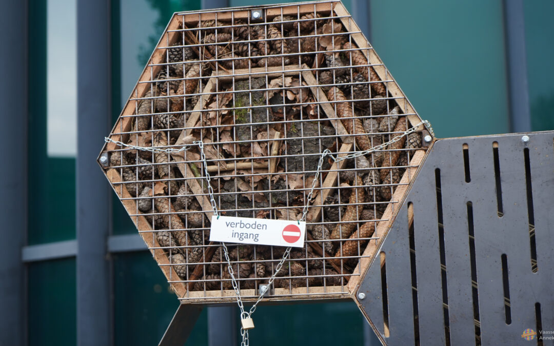 Eerste insectenhotel Project FACET feestelijk onthuld bij gemeentehuis Epe