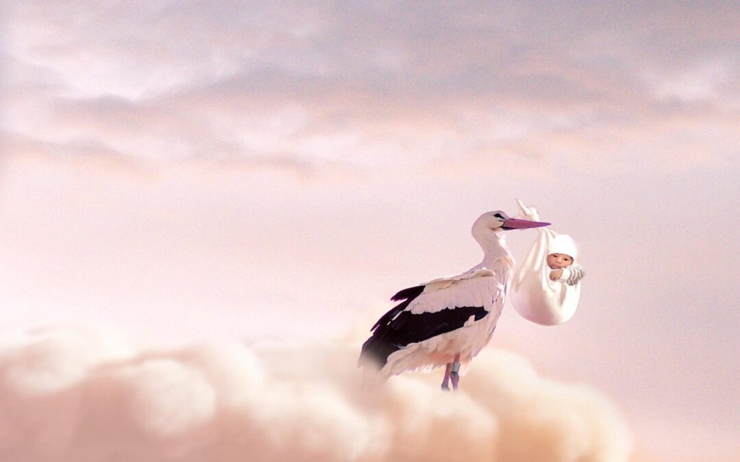 Algemene ledenvergadering Ampt Epe met lezing ‘Van de wieg tot het graf’.