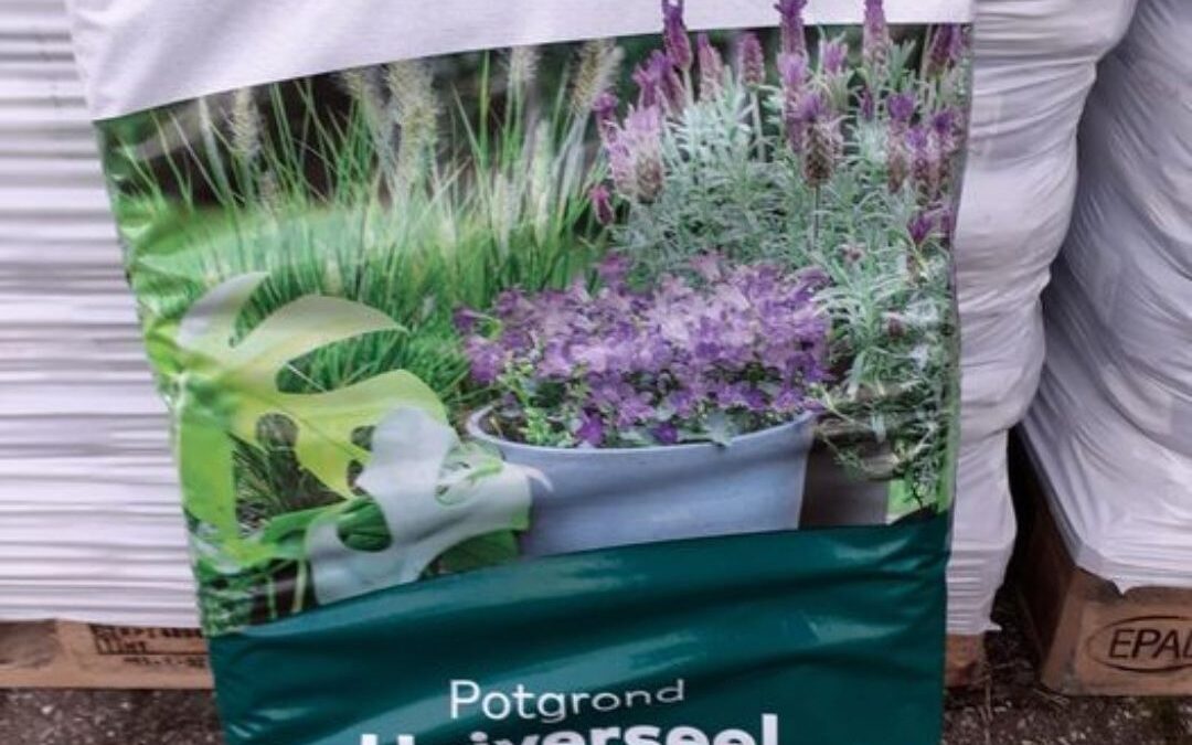 Volle zakken bij Vaassens Fanfare Corps