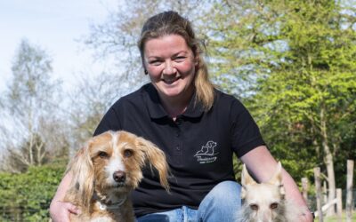 Merel van Esdonk uit Epe start uniek bedrijf: Thuiszorg voor dieren