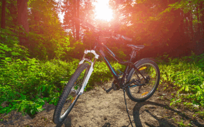 Maike uit Gortel stuurde Vaassen Actief het volgende berichtje…