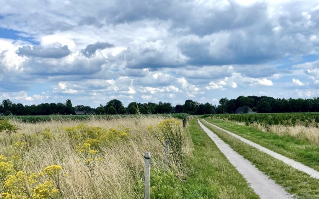 Aanleg wandelnetwerk Veluwe in gemeente Epe van start
