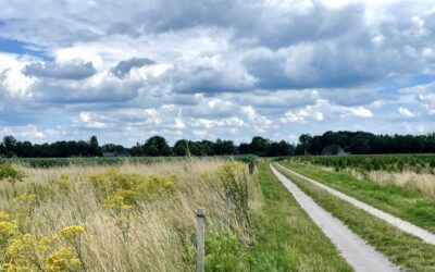 Aanleg wandelnetwerk Veluwe in gemeente Epe van start