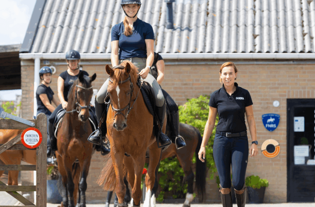 Regiofinale landelijke Hobby Horse Competitie in Beemte Broekland