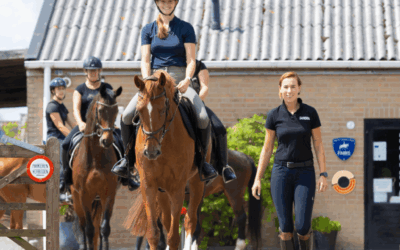 Regiofinale landelijke Hobby Horse Competitie in Beemte Broekland