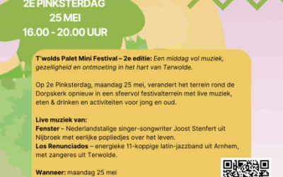 Mini Festival Terwolde