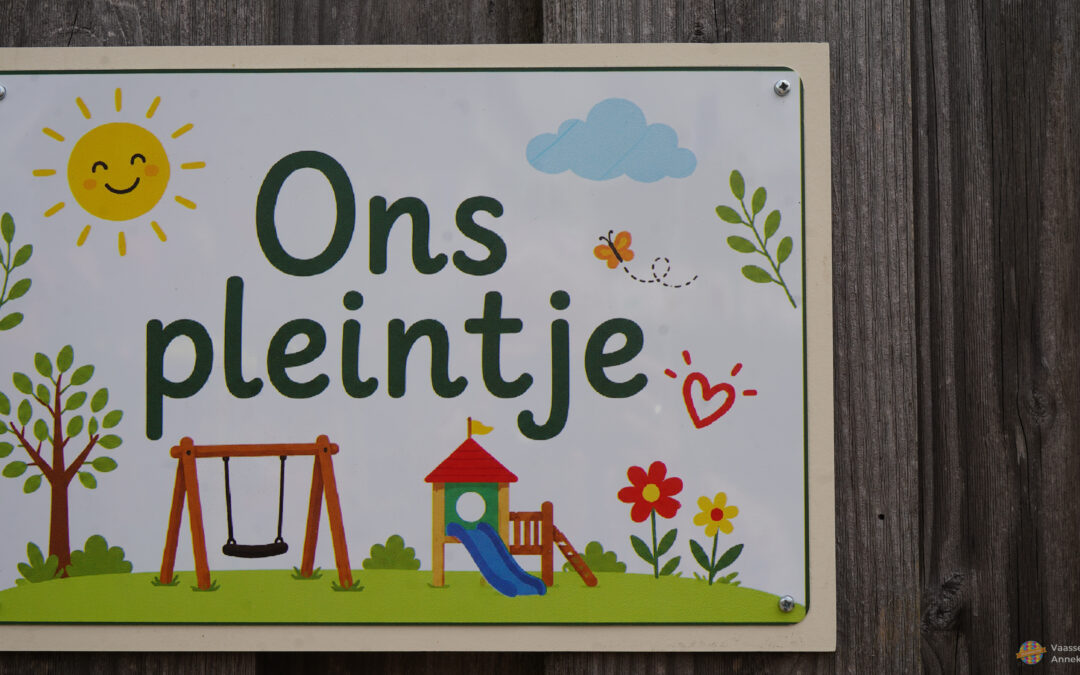 Van grijs plein naar een plek van de buurt: ‘ons pleintje’ in de Bothastraat