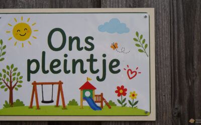 Van grijs plein naar een plek van de buurt: ‘ons pleintje’ in de Bothastraat