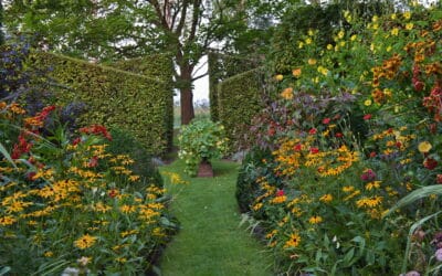 Tweedaags nazomerweekend bij Tuinen de Roode Hoeve
