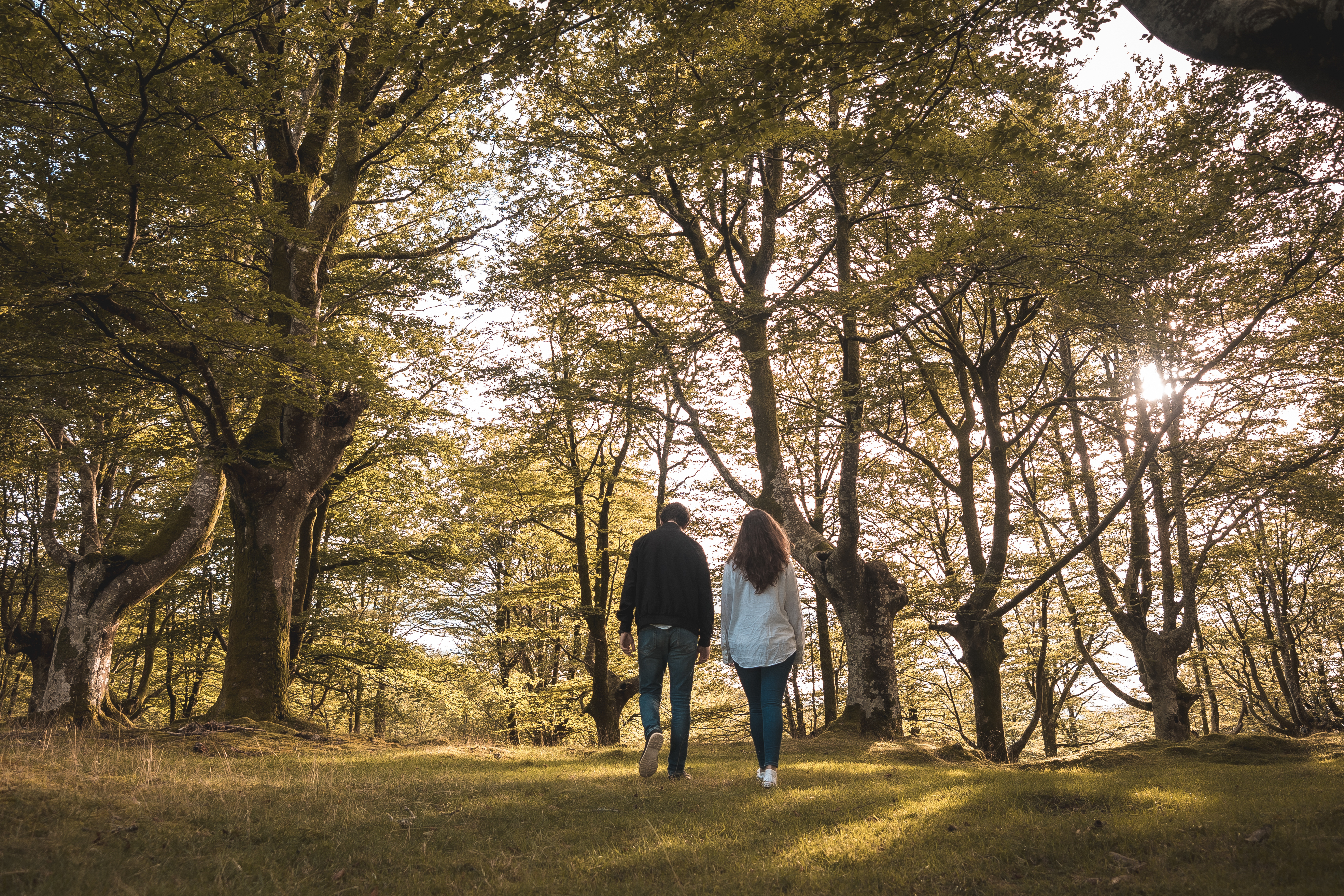 Couple holding hands and walking in the forest